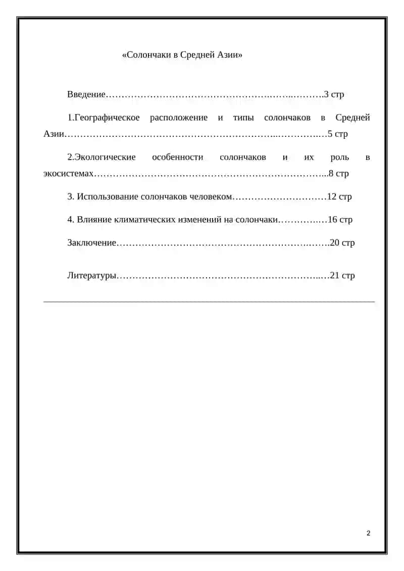 Солончаки в Средней Азии 2