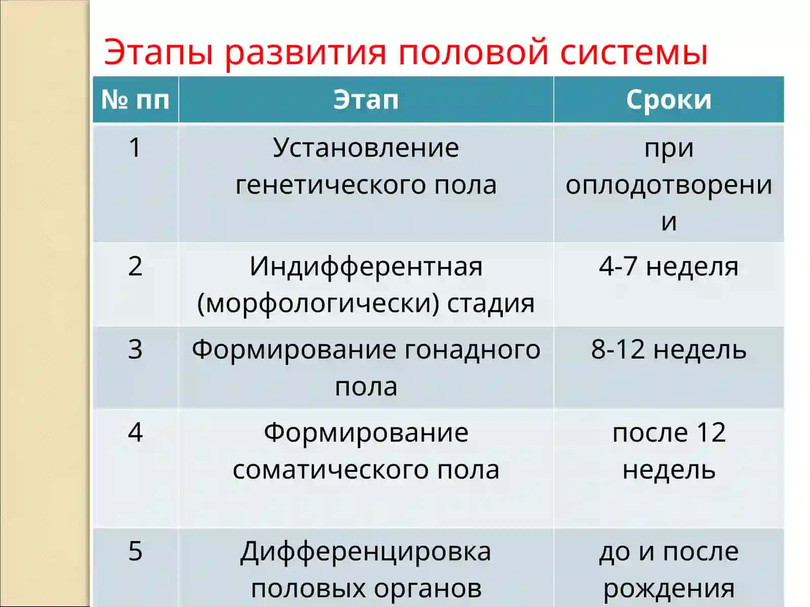 Гистология, цитология, эмбриология 2