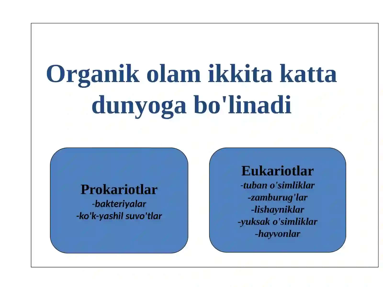 Hayotning hujayraviy shakllari 2