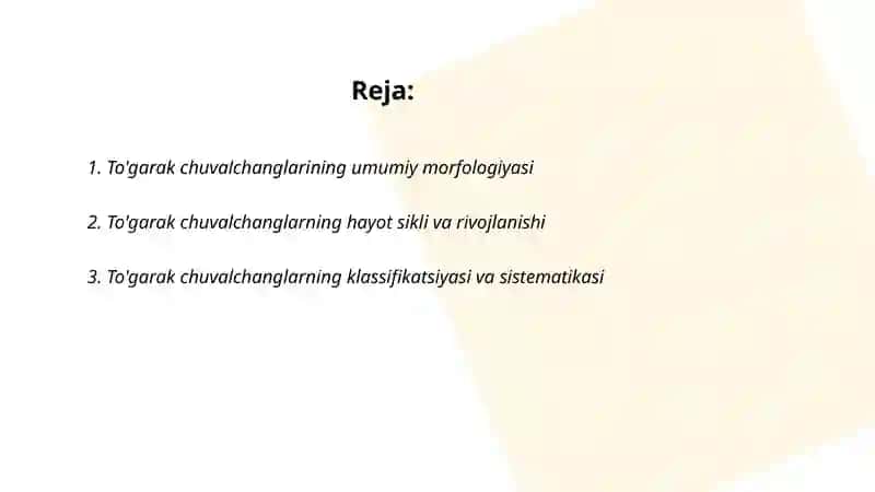 To'garak chuvalchanglar tipi 2