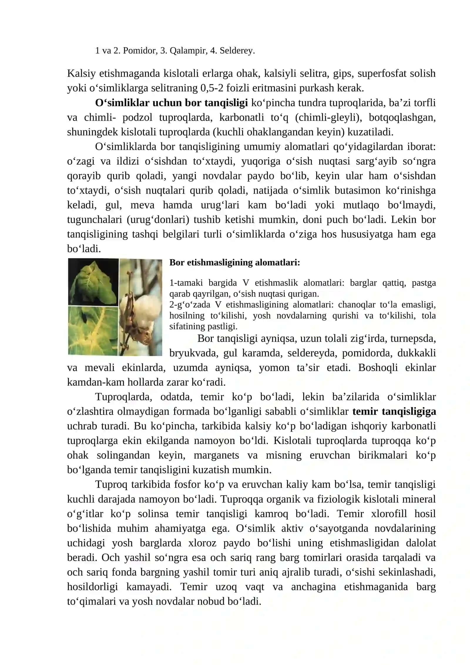O’simliklarda mikroelementlar yetishmasligi tashhisi 2