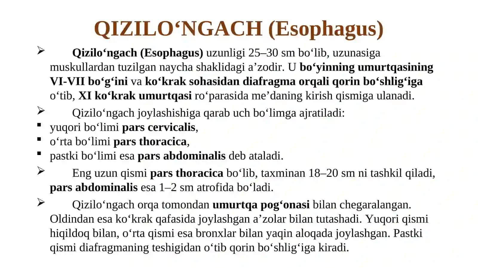 QIZILO‘NGACH (Esophagus) 2