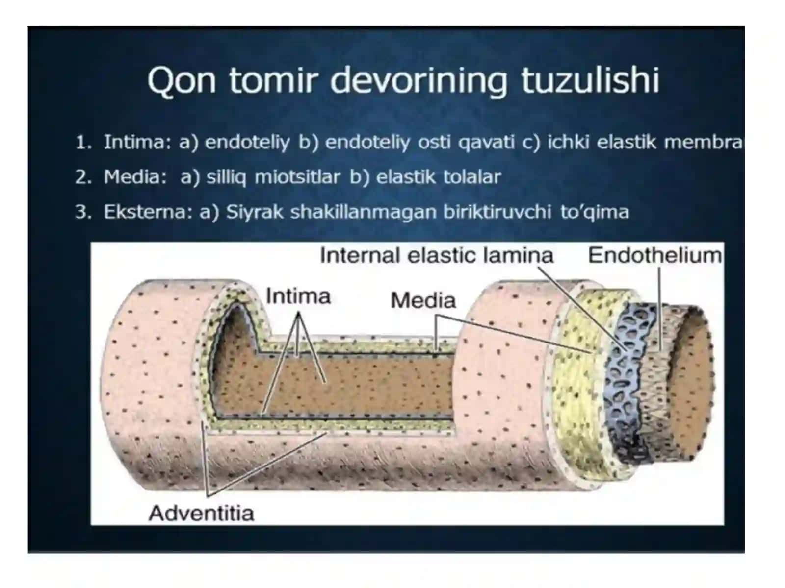 Arteriya 2