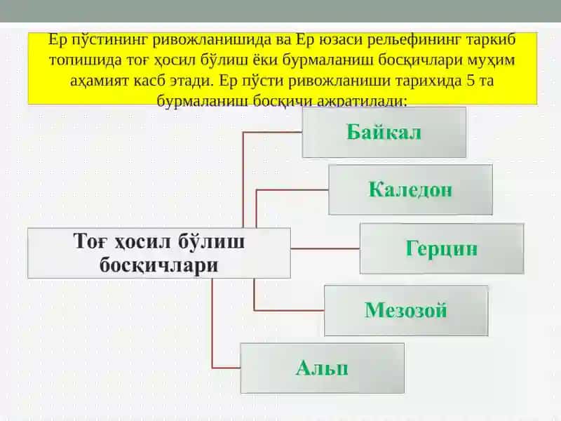 ТОҒ ҲОСИЛ БЎЛИШ БОСҚИЧЛАРИ 2