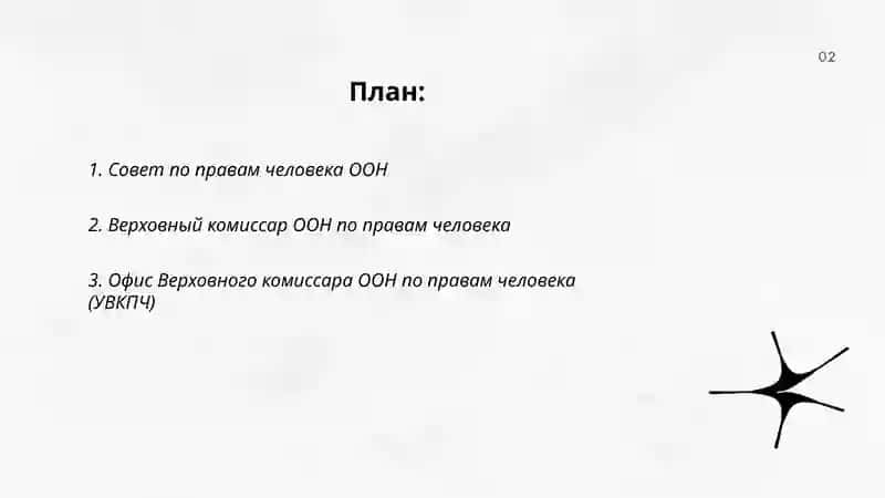Совет по правам человека ООН 2
