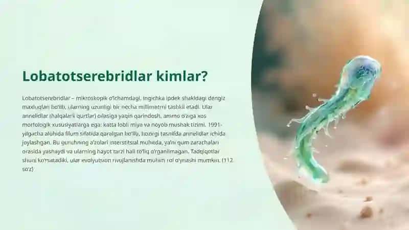 Lobatotserebridlar (Lobatocerebrida) 2