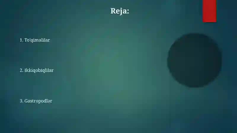 Mollyuskalar tipi haqida 2