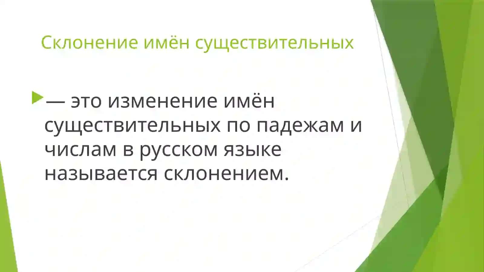 Склонение именсуществительных 2