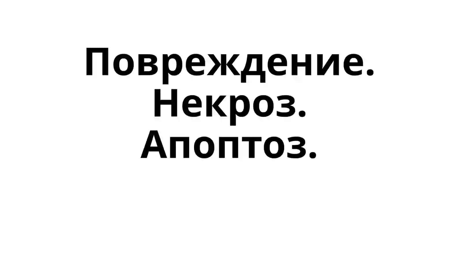 Повреждение. Некроз.Апоптоз 2