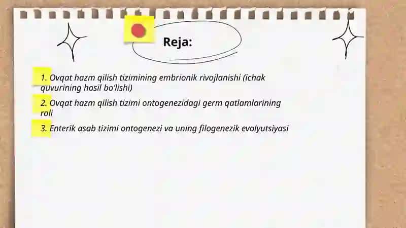 Ayirish tizimi onto-filogenezi 2