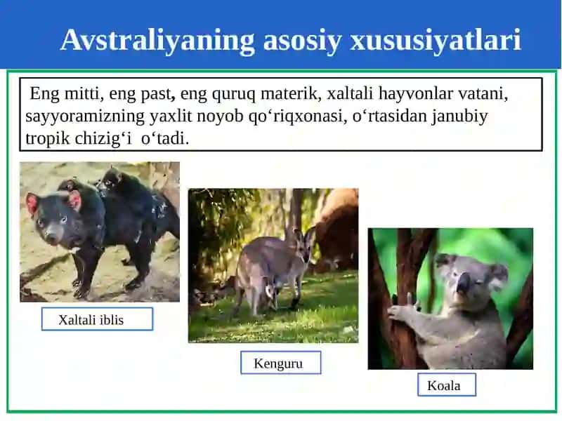 Avstraliyaning geografik xususiyatlari 2