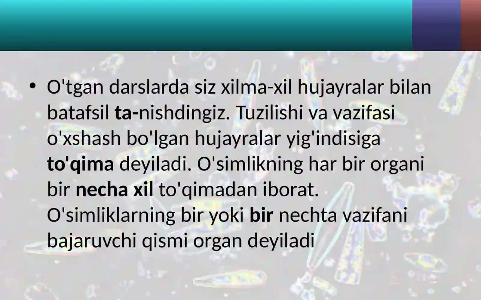 6-sinf Botanika O'simlik to'qimalari 2