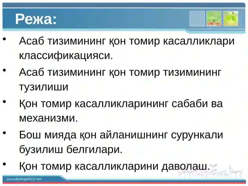 Асаб тизимининг қон томир касалликари 2
