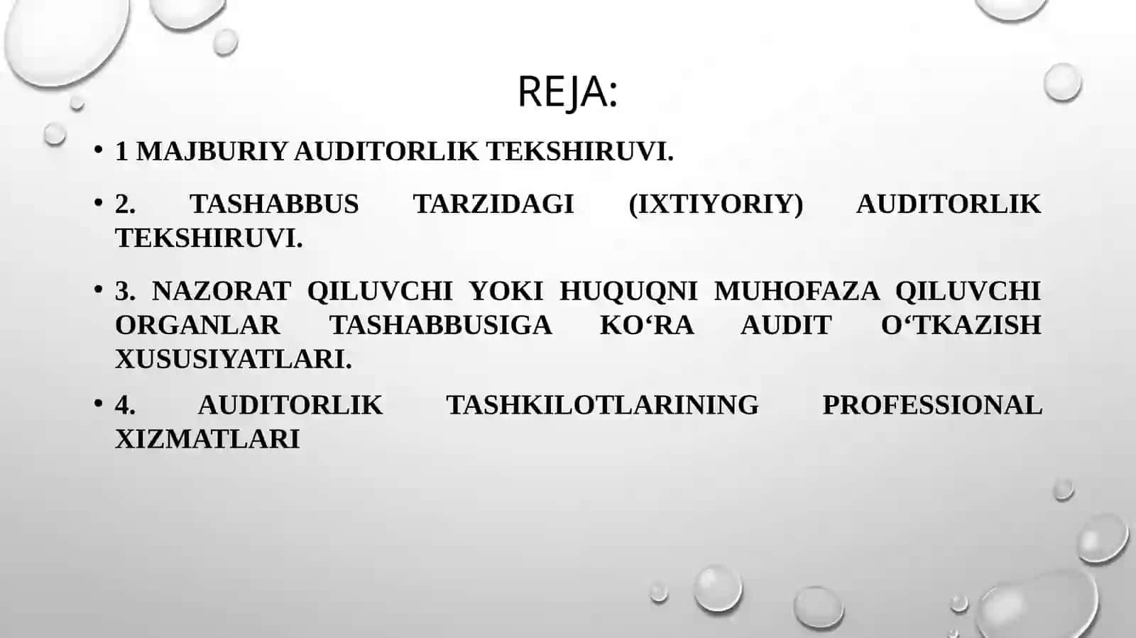 Auditorlik faoliyati ning tashkiliyasoslari 2