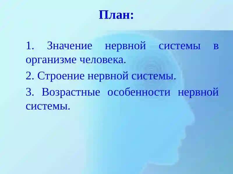 Возрастные особенности нервной системы 2