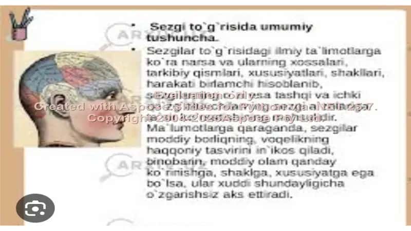 Sezgi 2