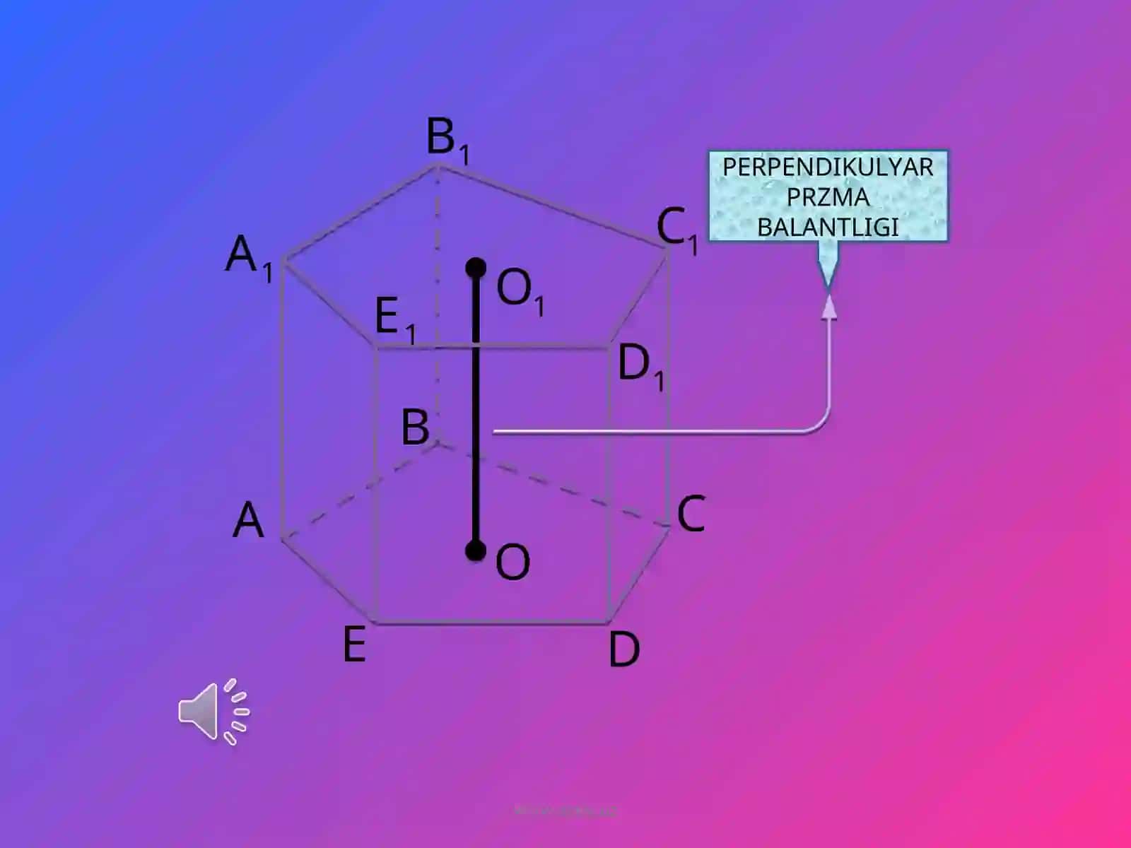 PRIZMALAR 2
