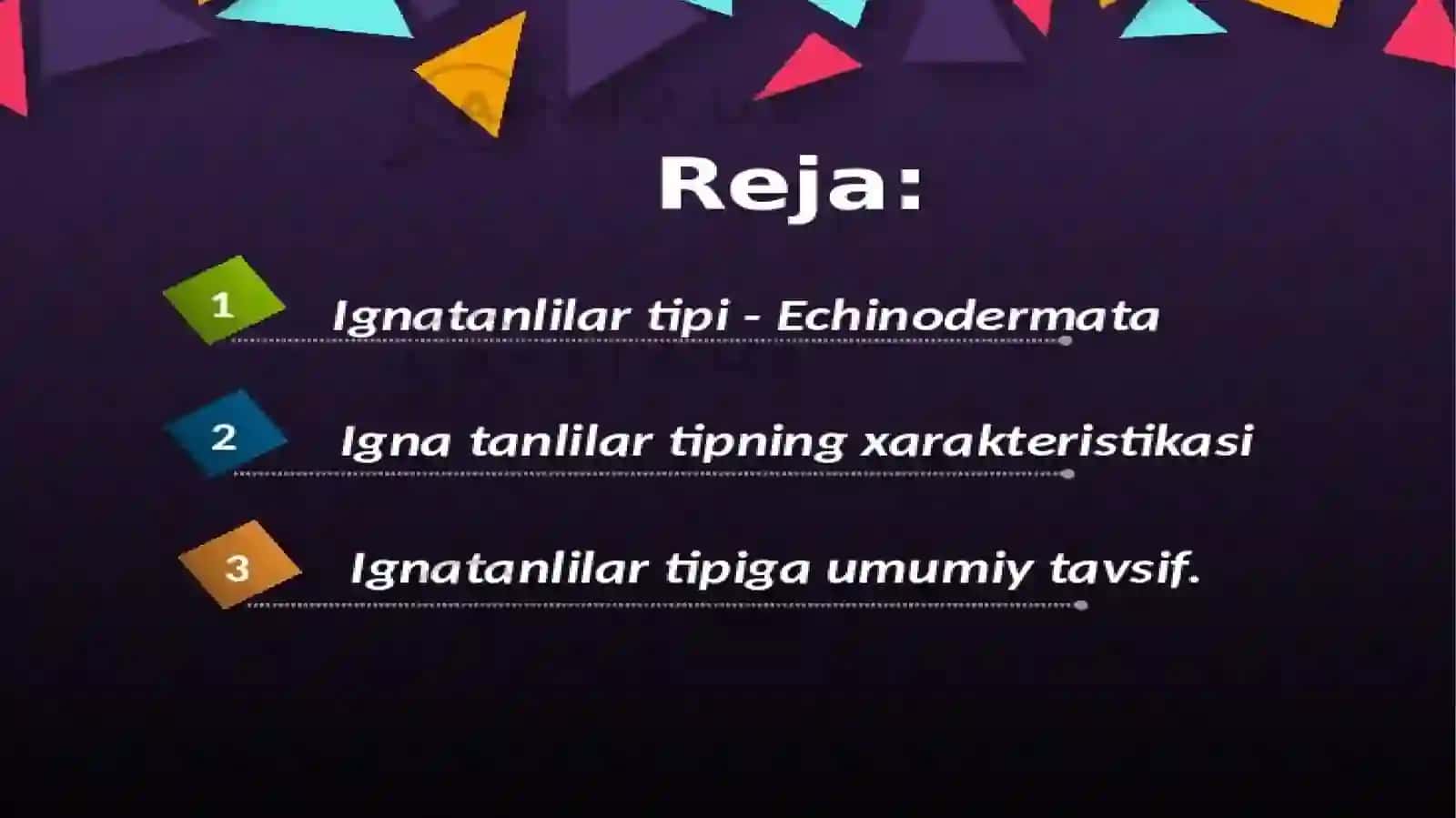 IGNATANLILARDENGIZYULDUZLILARI SINFI 2