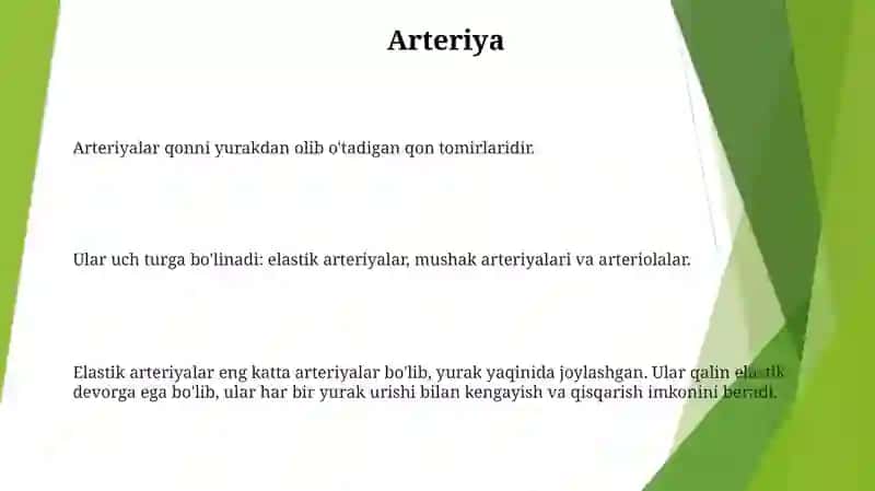 ArteriyalarningTarqalishQonuniyatlari 2