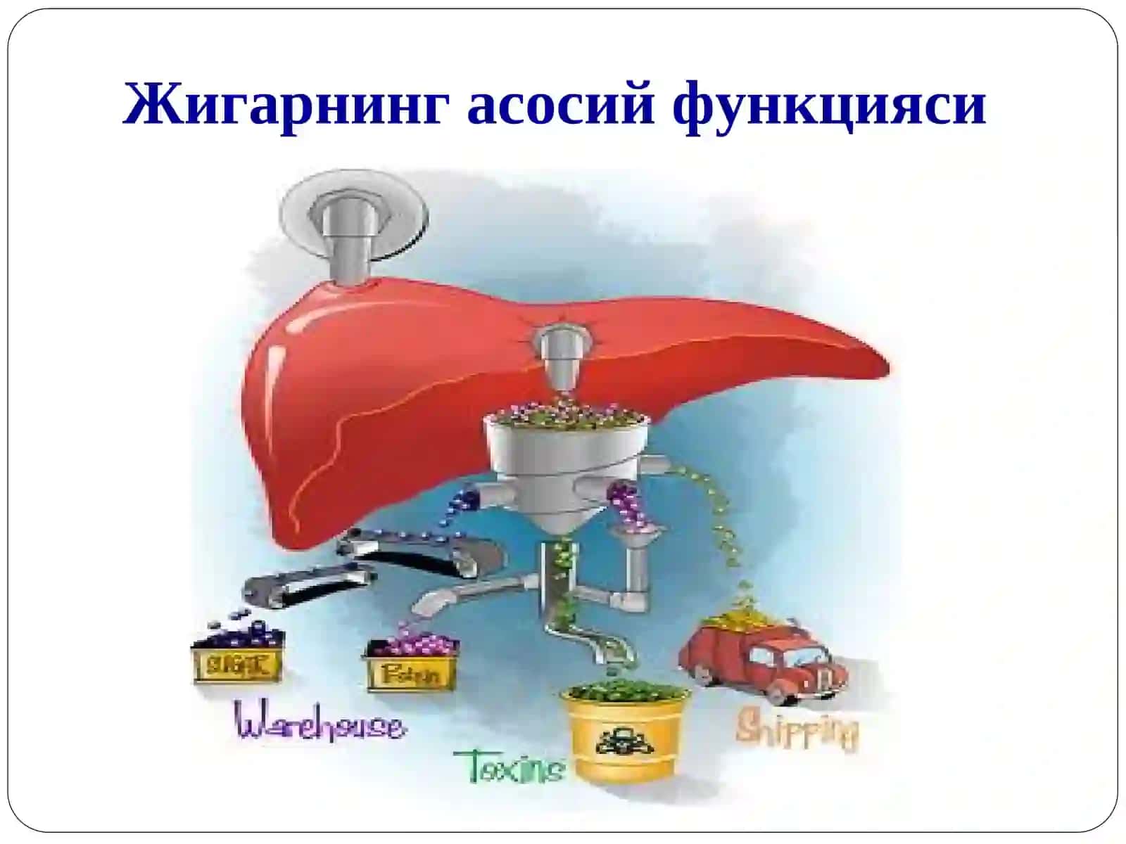 Жигар касалликлари лаборатор диагностикаси 2