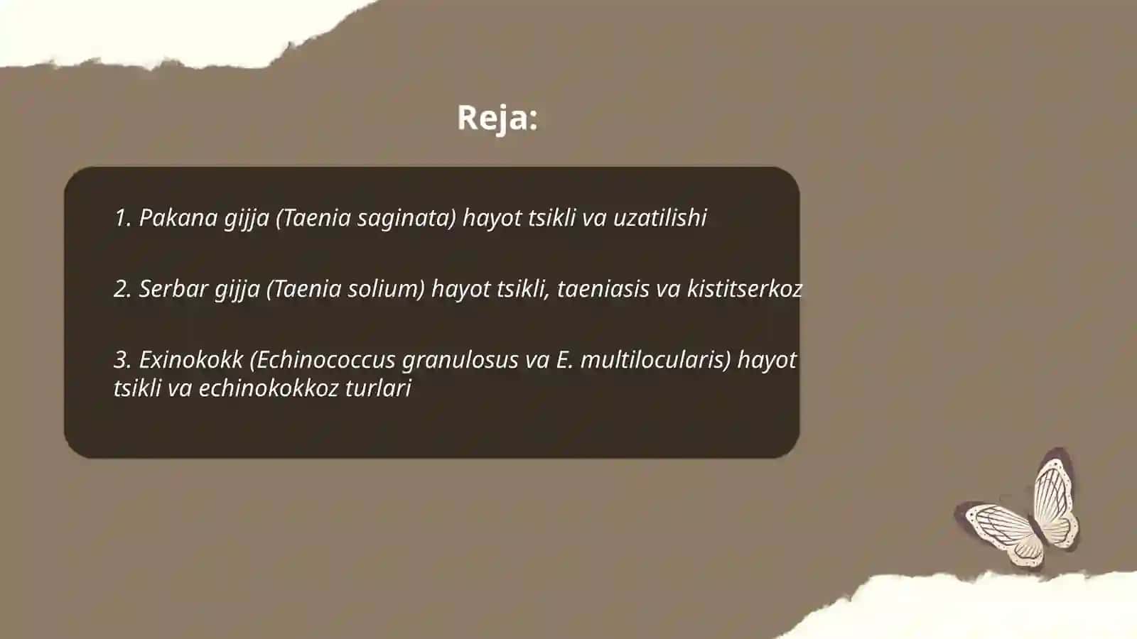 Pakana gijja, Serbar gijja, Exinokokk 2