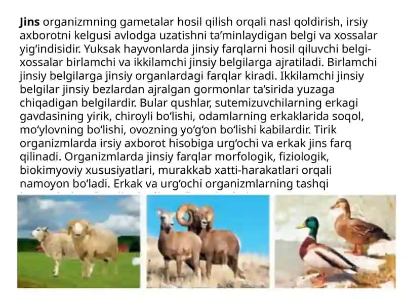 Jins genetikasi 2