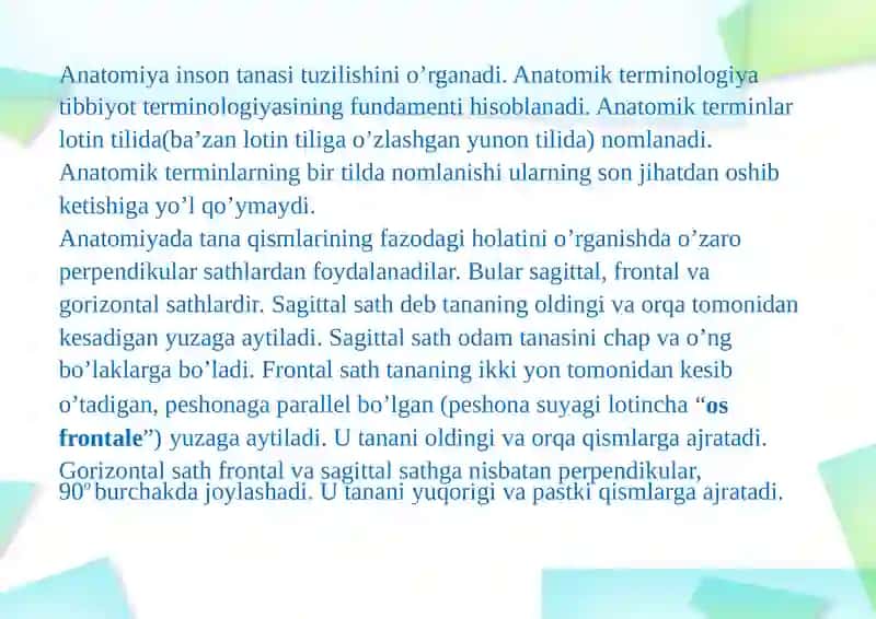 ANOTOMIK IBORALARNI TARJIMASI 2