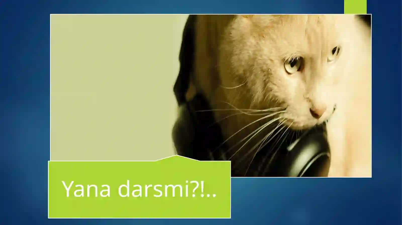 So’zning morfem tarkibi 2