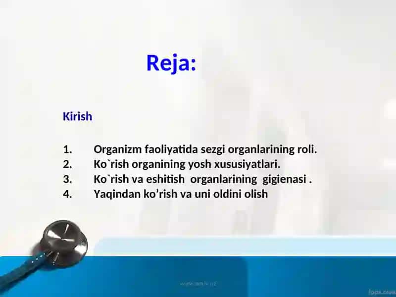 Sezgi organlari haqida tushuncha 2