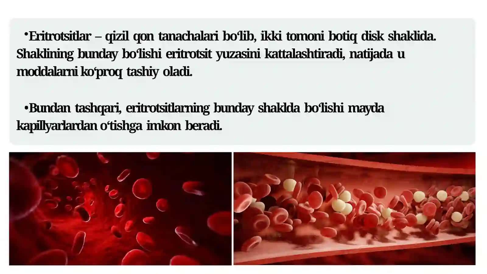 Eritrotsitlar 2
