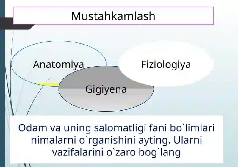 Odam organizmining hujayraviy tuzilishi 2