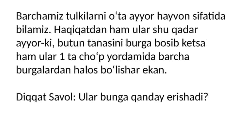 Mantiqiy savollar 2
