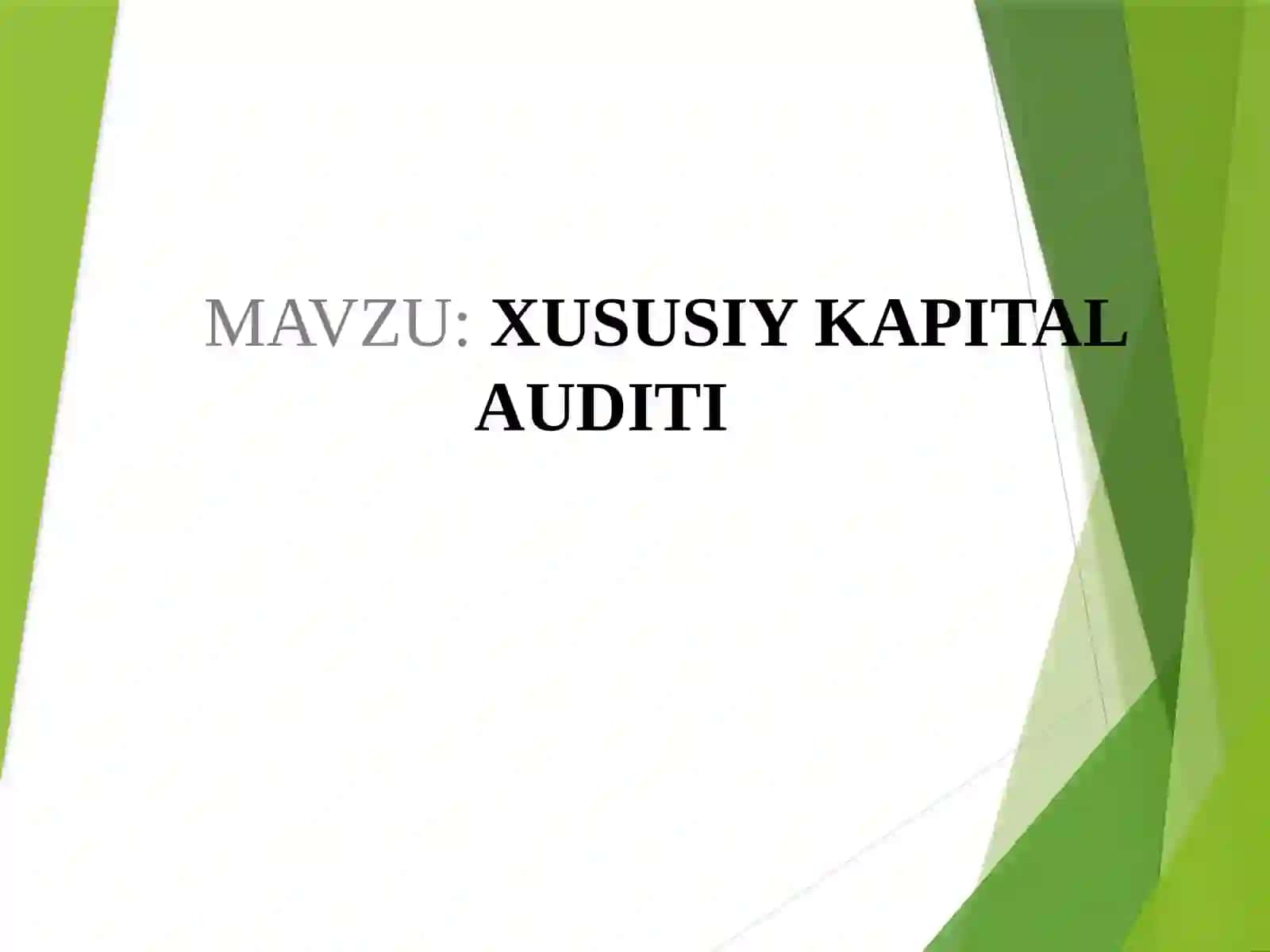 XUSUSIY KAPITAL AUDITI 2