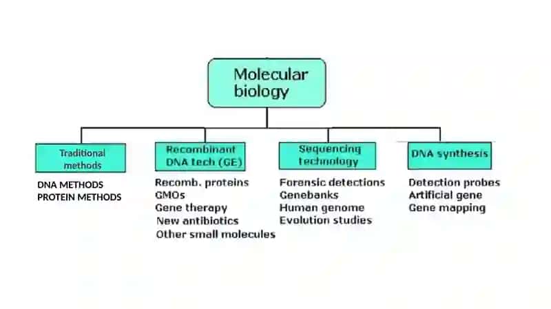 BIOTEXNOLOGIYA-2 Molekulyar biologiya 2