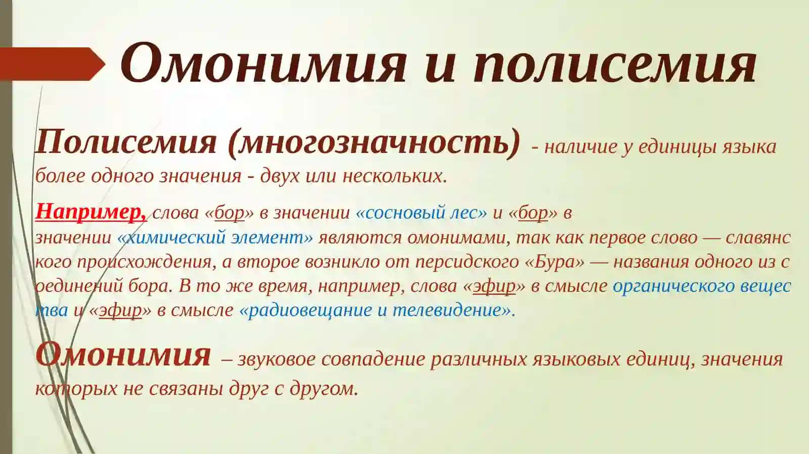 Омонимия и полисемия 2