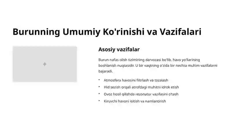 Burun va Burun Bo'shlig'i Tuzilishi 2