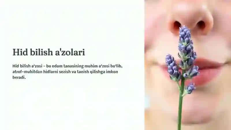 Hid bilish 2