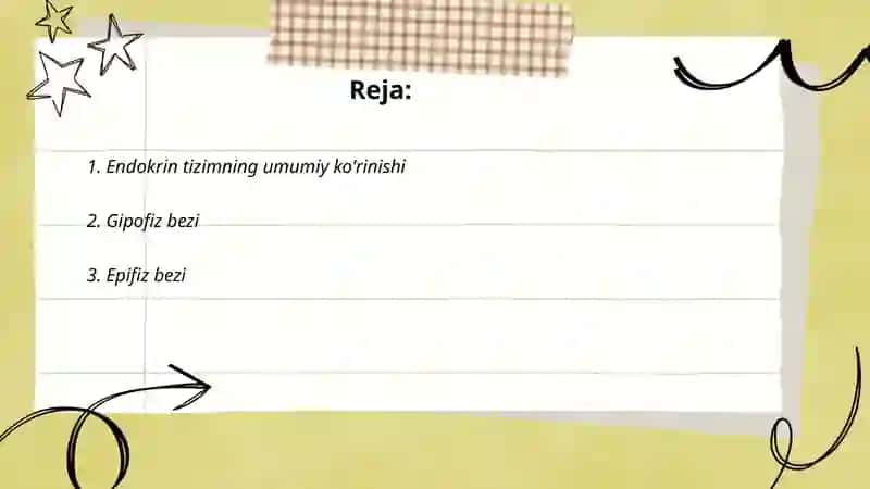 Ichki sekresiya bezlari 2