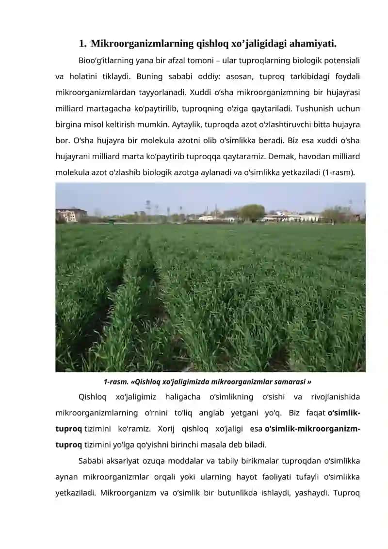 MIKROORGANIZMLAR ASOSIDA BIOO'G'ITLAR ISHLAB CHIQARISH 2
