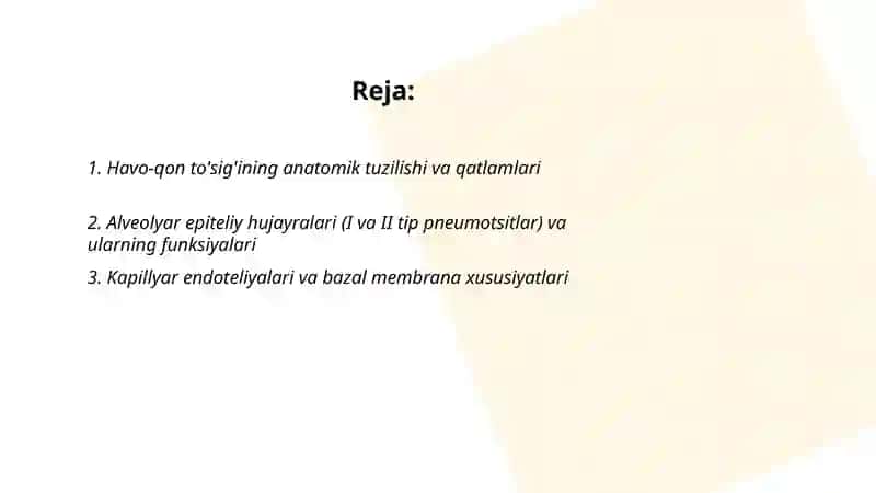 Havo-qon to'sig'ining tuzilishi, vazifalari va patologiyasi 2