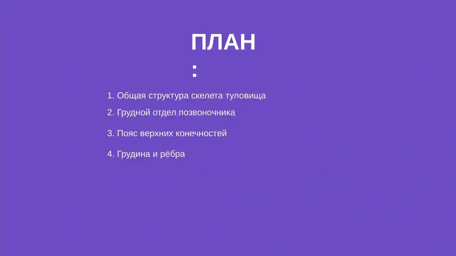 Скелет туловища 2