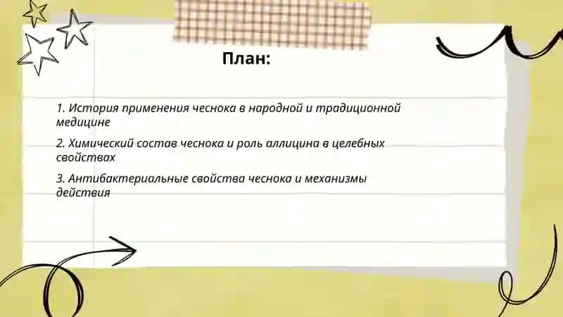 План: Целебные свойства чеснока 2