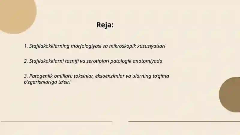 Stafilakoklar patalogik anatomiyasi 2