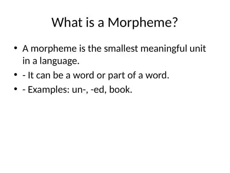 The Morphemic Structure of the English Language 2