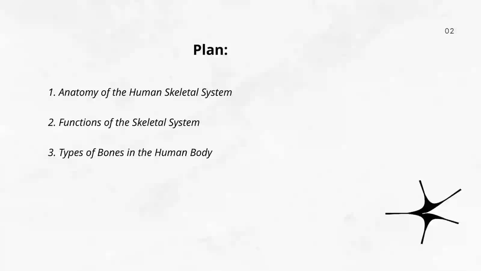 The skeletal system of a human being 2
