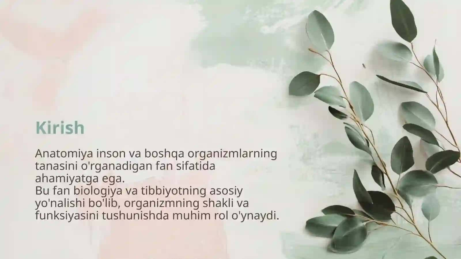 Anatomiyani o'rganish usullari 2