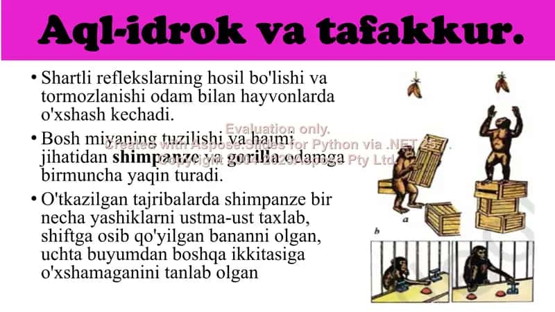 Aql-idrok, tafakkur, so‘z va nutq 2