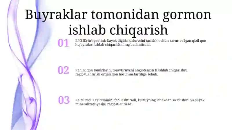 Buyrak Ishlab Chiqaruvchi Garmon 2