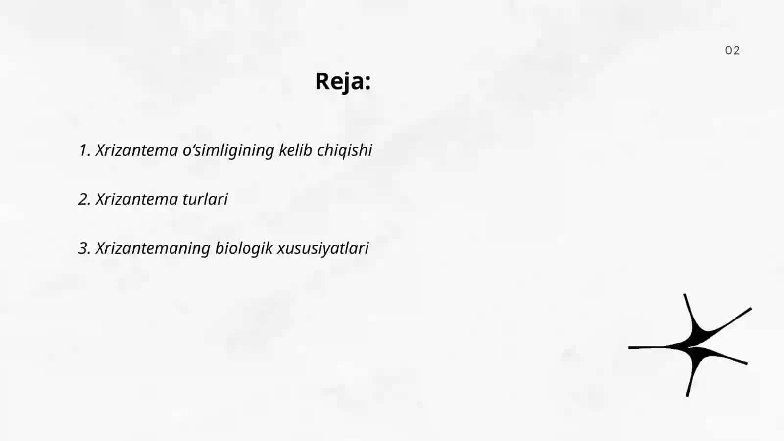 Xrizantema oʻsimligi haqida maʼlumot 2