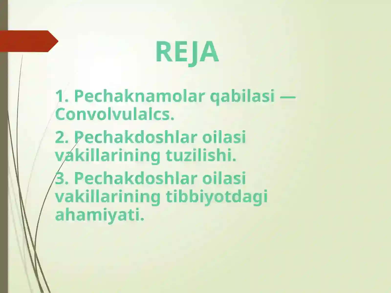 Pechaknomalar qabilasi (Convolvulales) 2